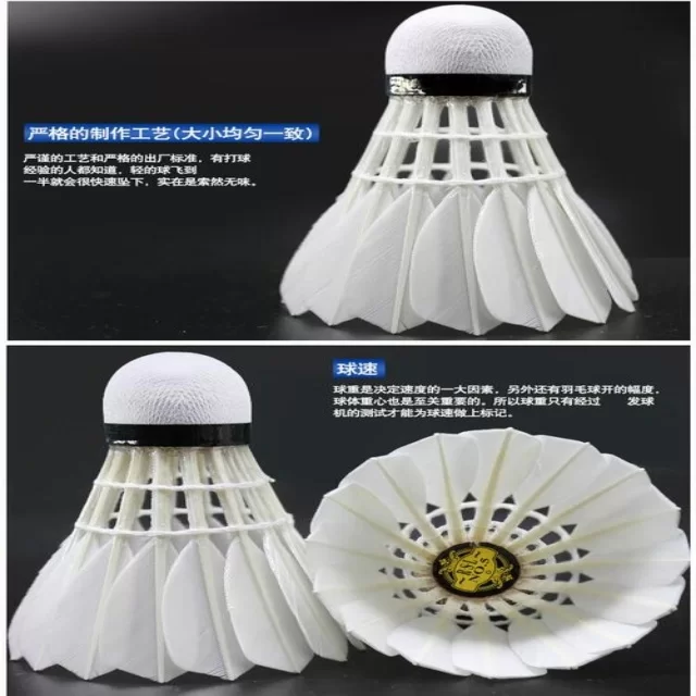 年轻运动员复出背后的故事与未来展望